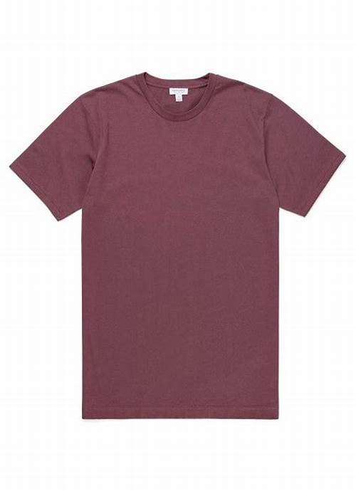 Mens Casual Wear T-Shirt